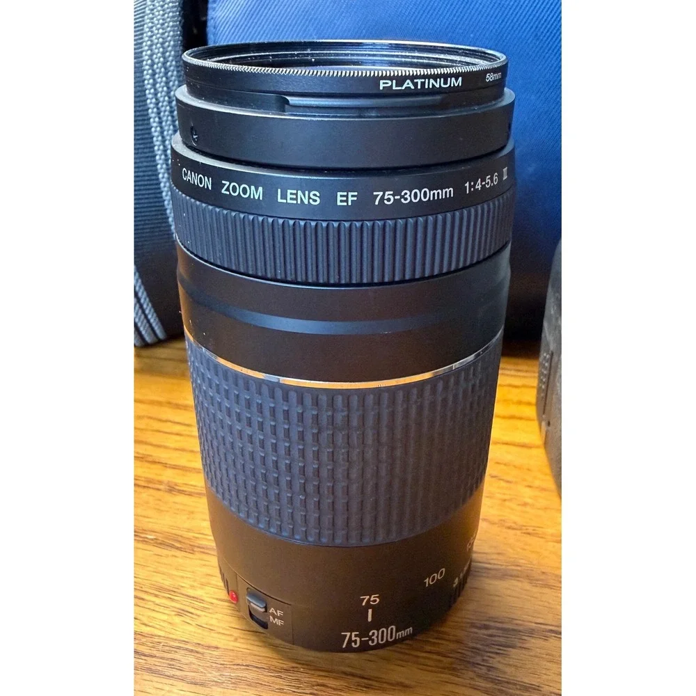 Canon EOS Rebel T6i DSLR Camera Bundle: 18-55mm & 75-300mm Lenses